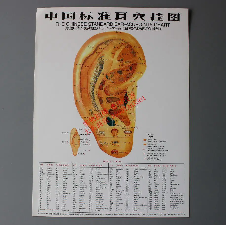 Графики рефлекторные зоны рук ног Уход за кожей лица ухо-акупунктурных точек