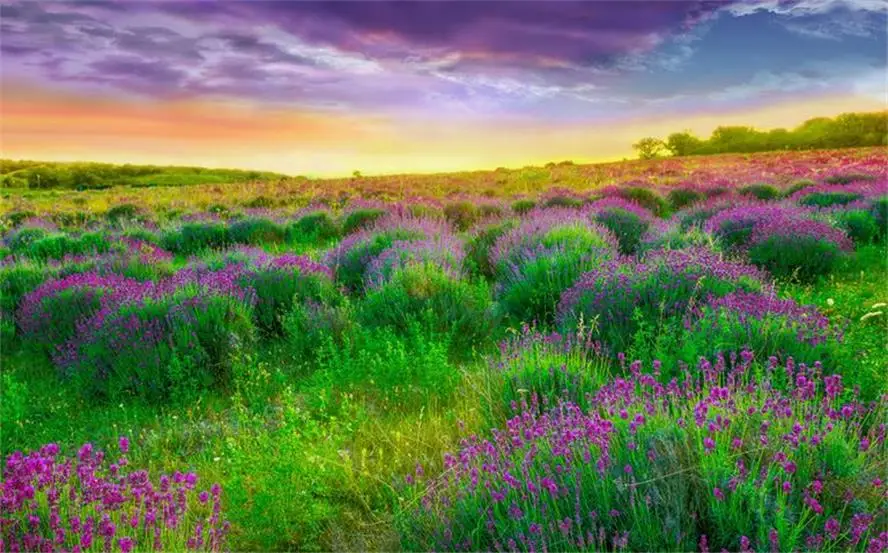 

Custom 3d non-woven Wallpaper TV Backdrop wall murals Provence lavender beautiful clouds 3d home decoration