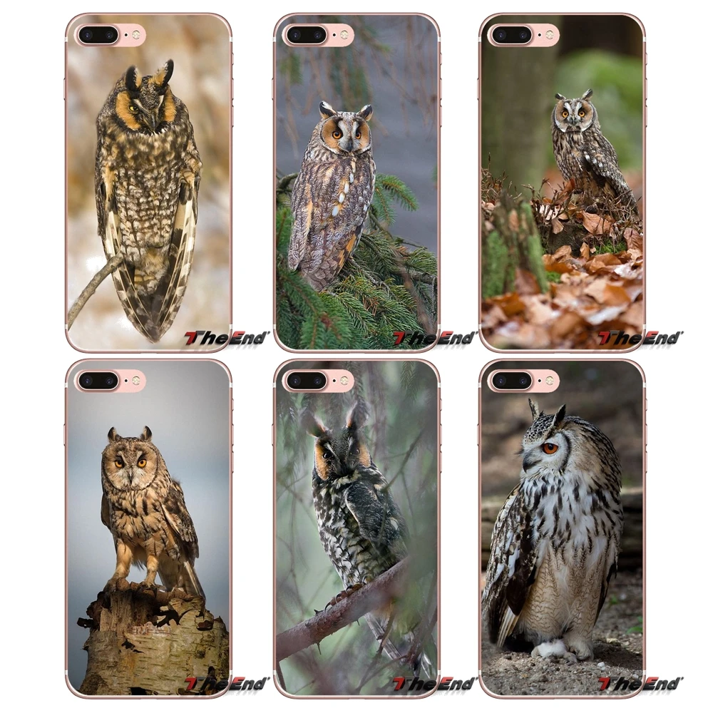 Длинный Ушастый Сова Asio otus Силиконовый ТПУ чехол для iPhone X 4 4S 5 5S 5C SE 6 6S 7 8 Plus Samsung