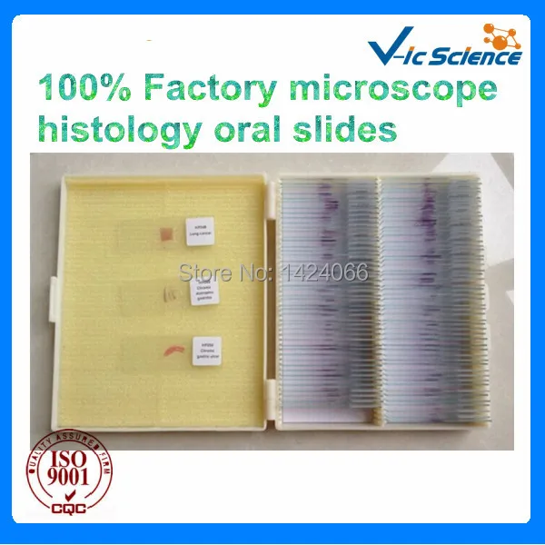 

100% Factory microscope histology oral slides