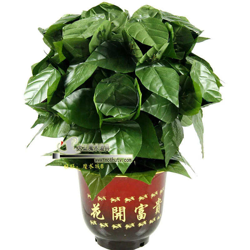 Цветущая Роза Буш пульт дистанционного управления 20/30 цветов волшебные трюки