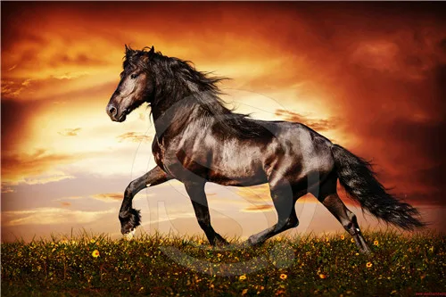 Дикие животные бегущие Черная лошадь обычная ткань холст Женский дом офис