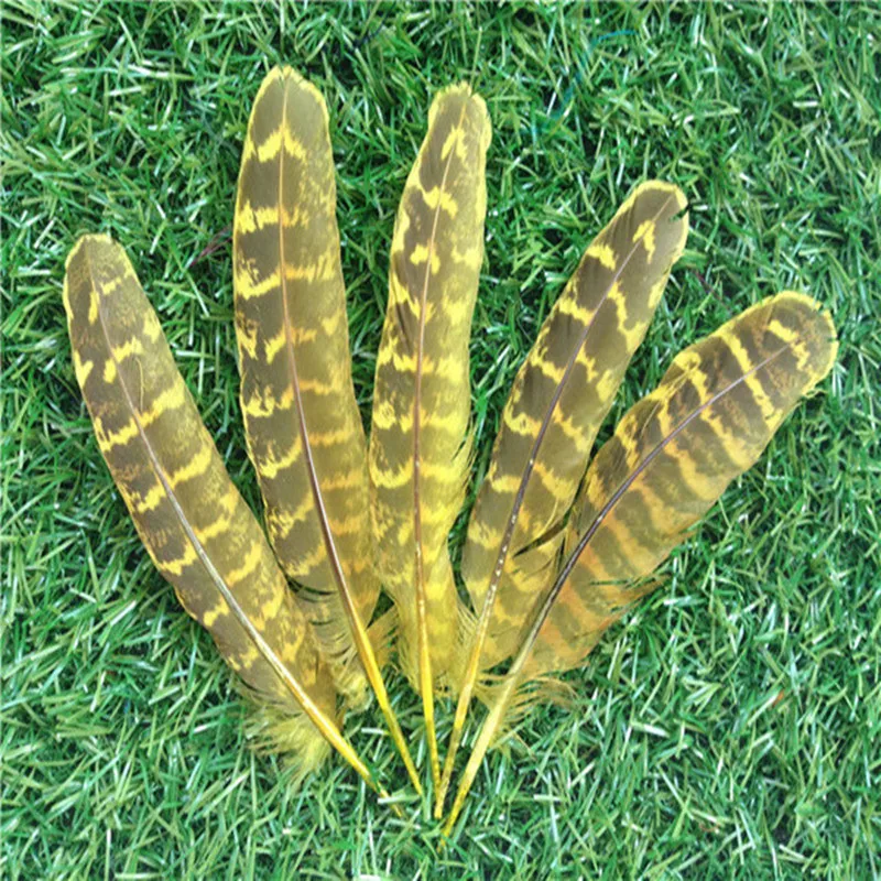 Wholesale! beautiful 10pcs natural 10-15 cm/4-6inches pheasant feathers | Дом и сад