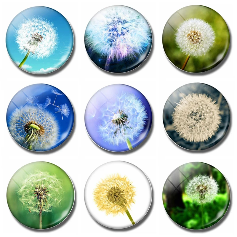 

Dandelion Fly 30 MM Fridge Magnet Natural Flower Make A Wish Glass Dome Magnetic Refrigerator Stickers Note Holder Home Decor