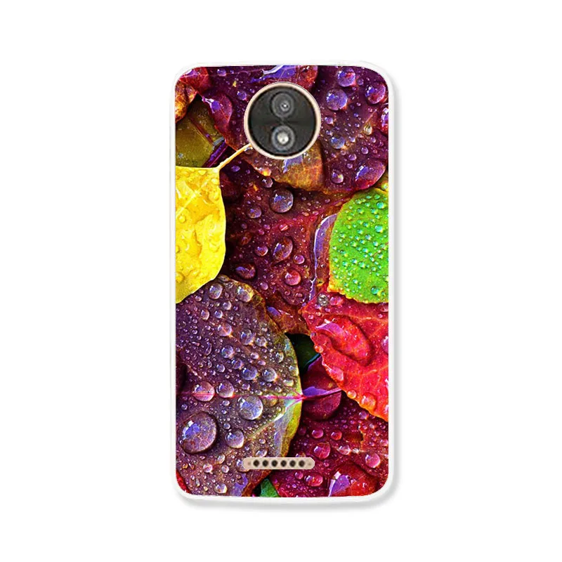 J081 Чехол с рисунком Bolomboy для Motorola Moto C Plus, мягкий силиконовый чехол из ТПУ для Moto One Action, милый чехол с рисунком животных - Цвет: J081