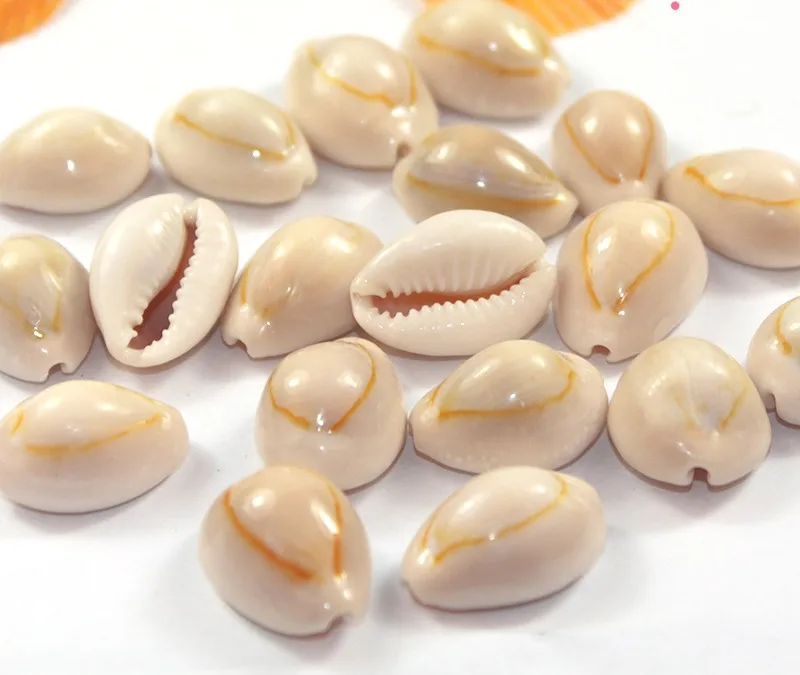 Натуральные морские раковины для пляжа украшения из органического Конча ремесло