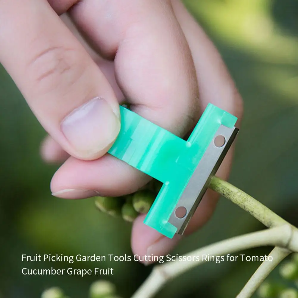 3 модели томат огурец виноград сбор фруктов садовые инструменты лезвие резка
