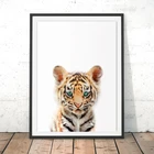 Hd Печать тигра плакаты сафари джунгли картина с рисунком животных детские настенные художественные картины для детской комнаты Современное украшение для дома