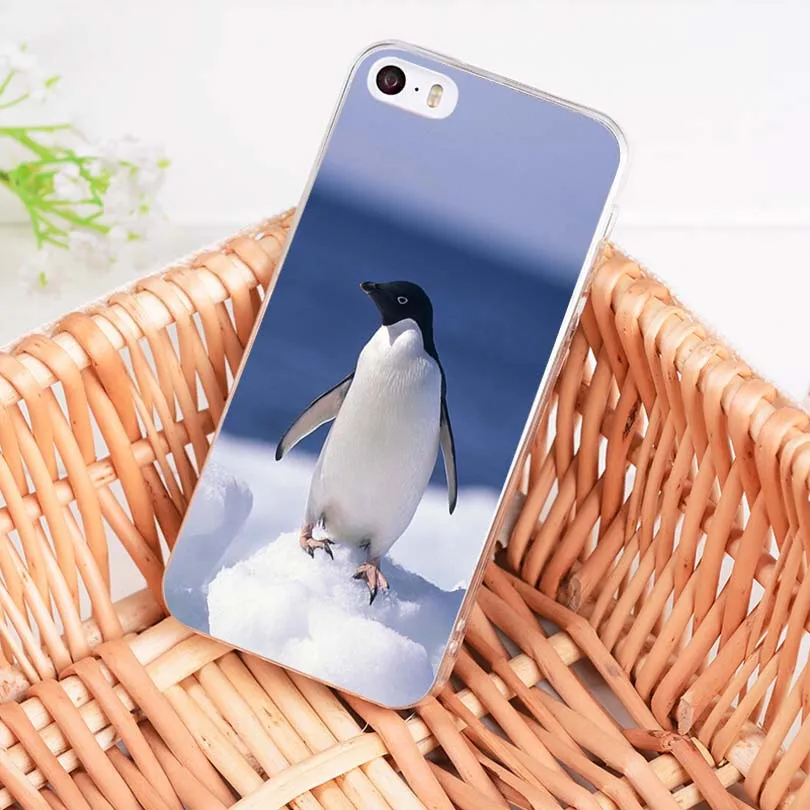 MaiYaCa Популярные Пингвины классический геометрический принт аксессуары для