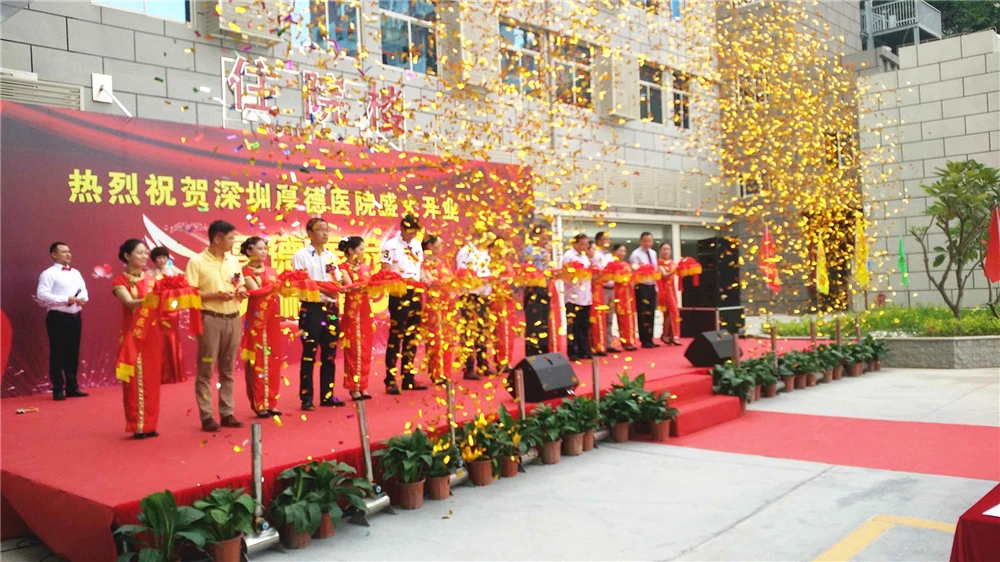 2x Party Show Colorful Confetti Ribbon Machine Stage Power Remote Celebration Paper Shoot Cannon DJ Wedding Equipment Machine