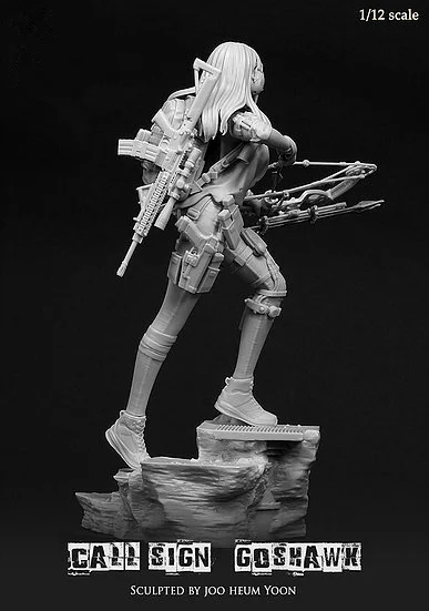 

1/12 Resin Figure Model Kit Call Sign Goshwak 150mm Unassembled Unpainted S304