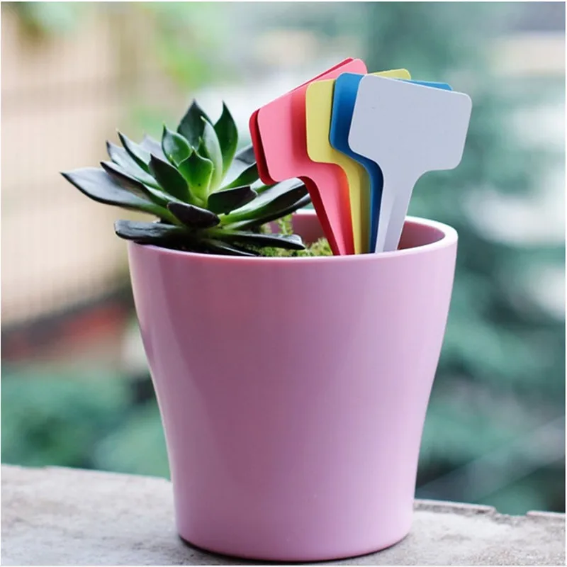

50pcs 6 x10cm Plastic Plant T-type Tags Markers Nursery Garden Decoration Tags for Plants Garden Decor Gardening Labels