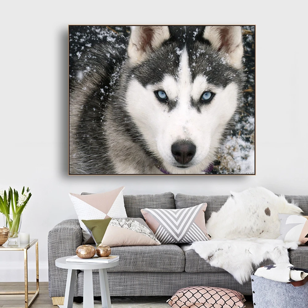 

Husky Dogs Animals Decor Wall Art Canvas Poster and Print Canvas Painting Decorative Pictures for Living Room Bedroom Home Decor