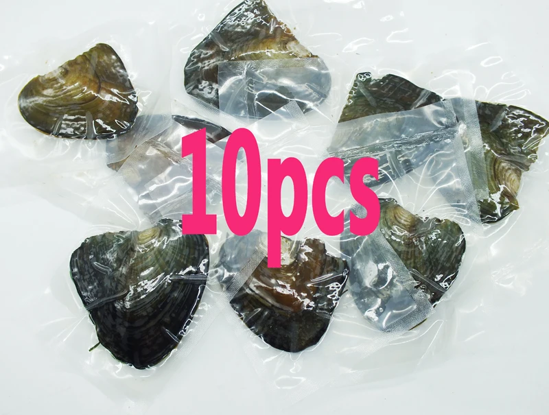 10 шт. Бесплатная доставка вакуумная упаковка устрицы желают пресноводный жемчуг