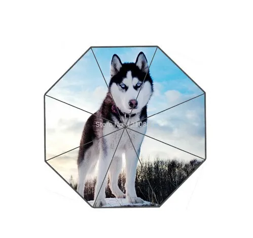 Модный дизайн зонтик на заказ Husky Cool Dog зонтик для мужчин и женщин Горячая Распродажа UMN-424