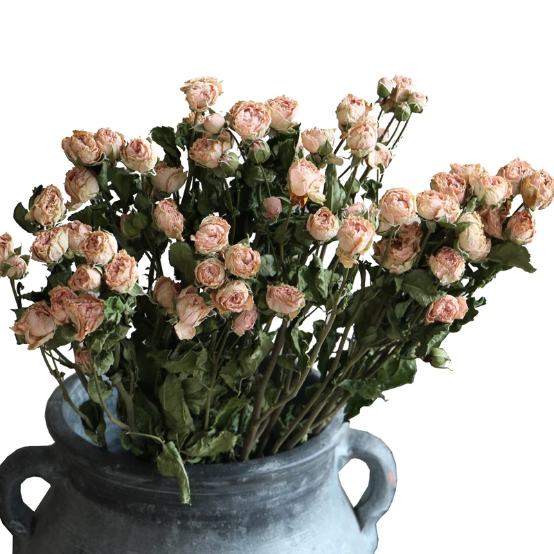 5 шт. натуральные розы сушеные цветы домашний Декор отеля цветочные DIY