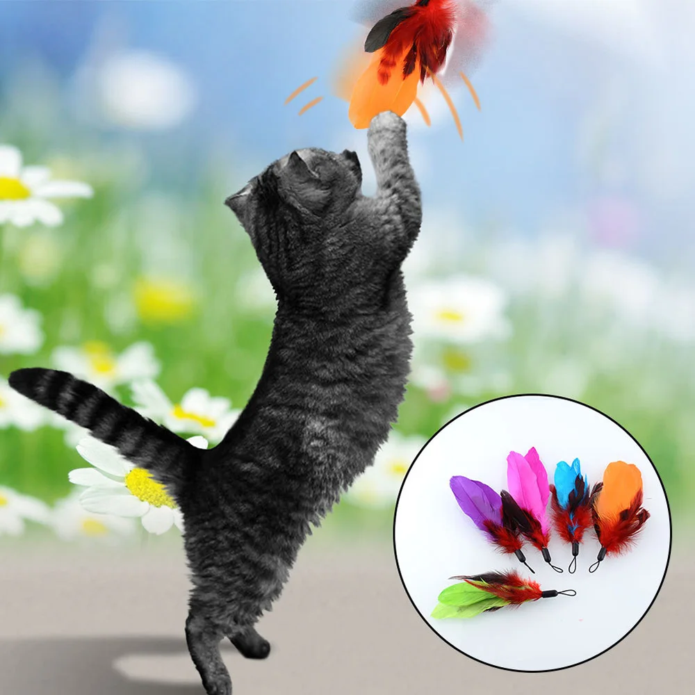 Кошка игрушка с перьями палка-игрушка для кота бреющая головка 9 шт./пакет