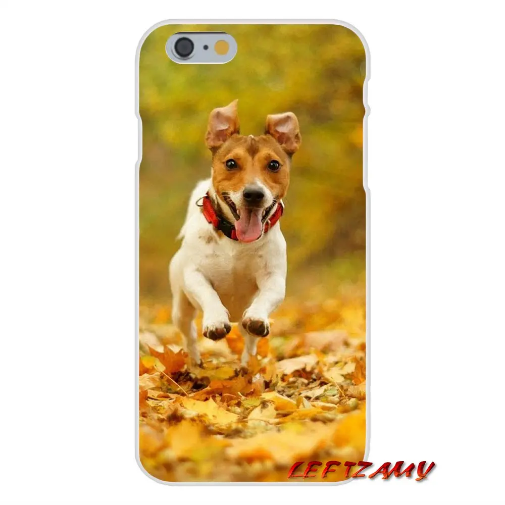 cute jack russell terrier dog puppy For Huawei P Smart Mate Y6 Pro P8 P9 P10 Nova P20 Lite Mini 2017 Accessories Case Covers | Мобильные
