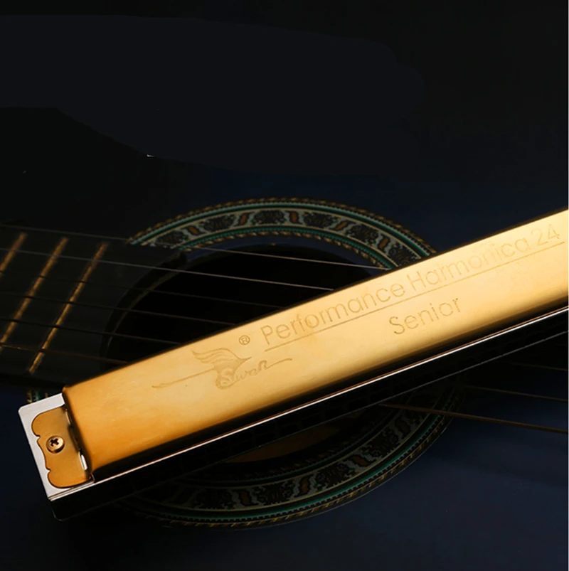 Гармоника Лебедь с 24 отверстиями тремоло ключ от C ртом инструмент для