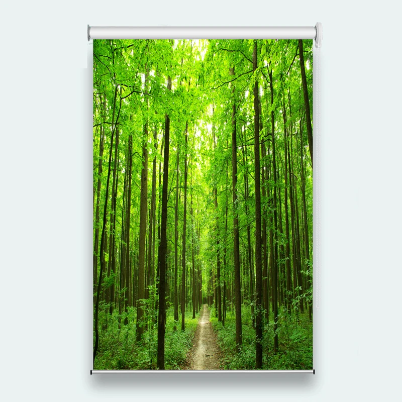 

Roller Blinds For Living room bedroom Home Customized Size forest roller shutters for window Roller Blinds System