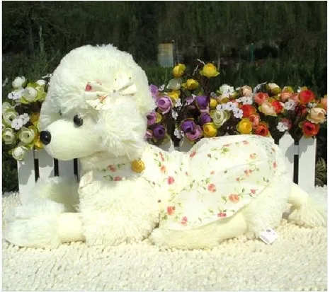 

stuffed plush toy white beige dog poodle about 55cm dog doll soft pillow birthday gift b0987