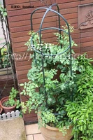 climbing frame wrought iron cylinder flower iron flower stents clematis vine month cylindrical florist