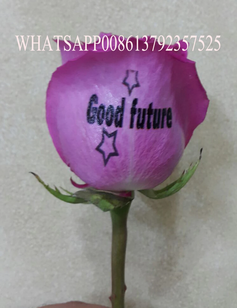 Бесплатная доставка новинка 2020 горячая распродажа принтер для ногтей Real Nails