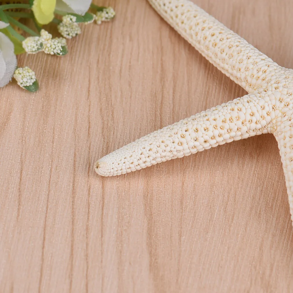 Белая Морская звезда 10-12 см белый натуральный палец свадебный Декор Морской рыбы
