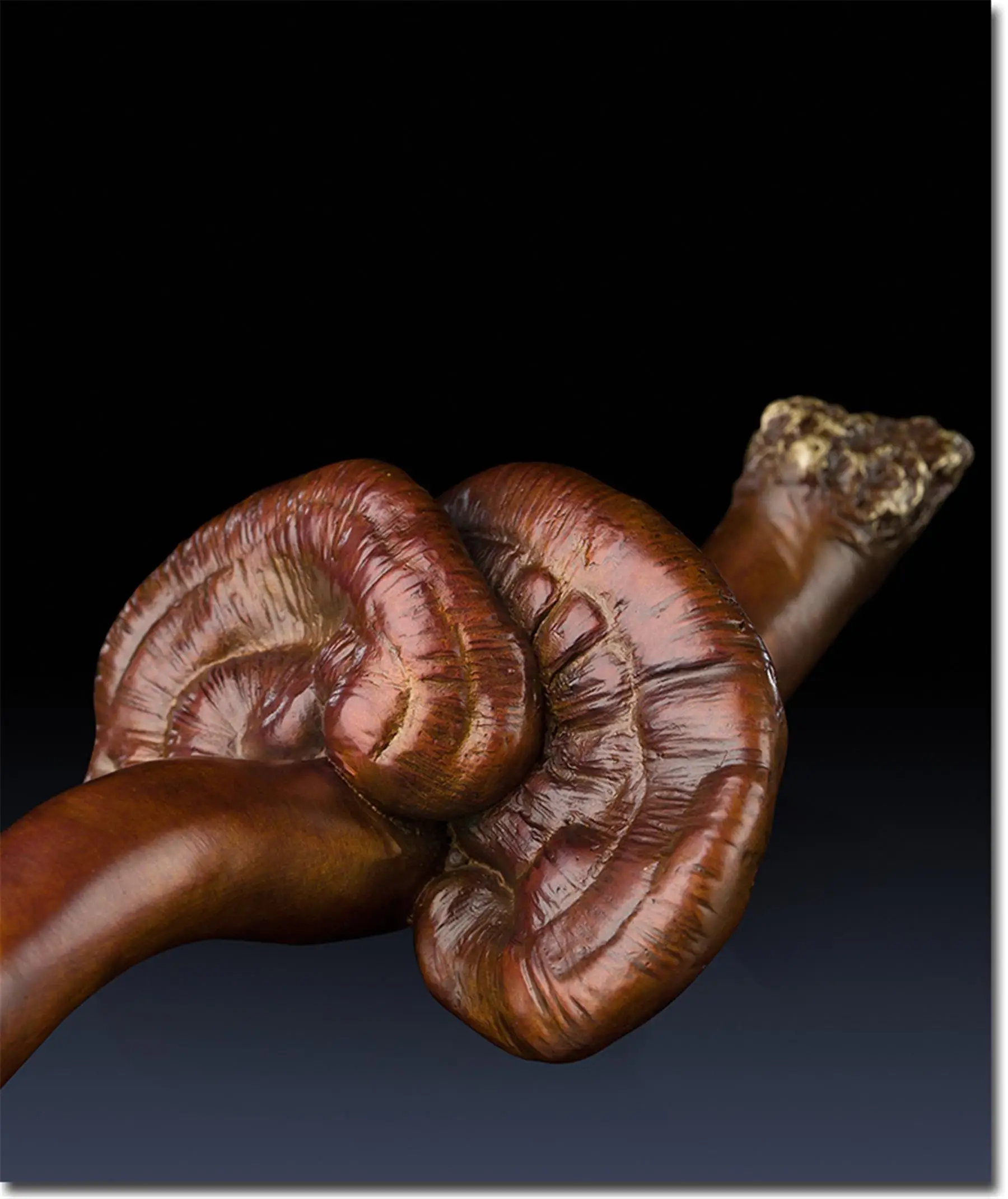 Классическая Ganoderma Lucidum оригинальность ручка декоративно-прикладного искусства