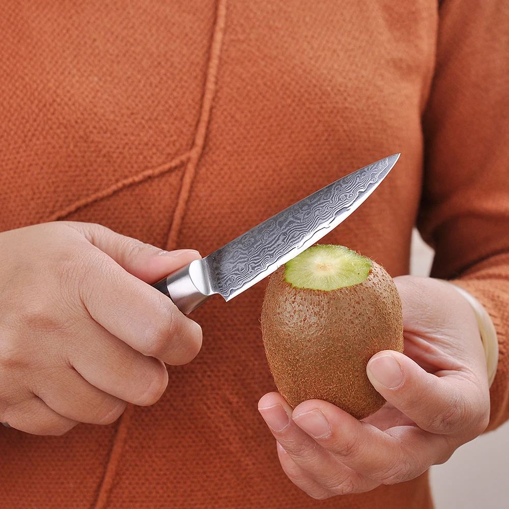 

SUNNECKO Damascus Santoku Paring Knife Japanese VG10 Steel Pakka Wood Handle Knife Fruit Cutter Knives 2PCS Kitchen Knives Set