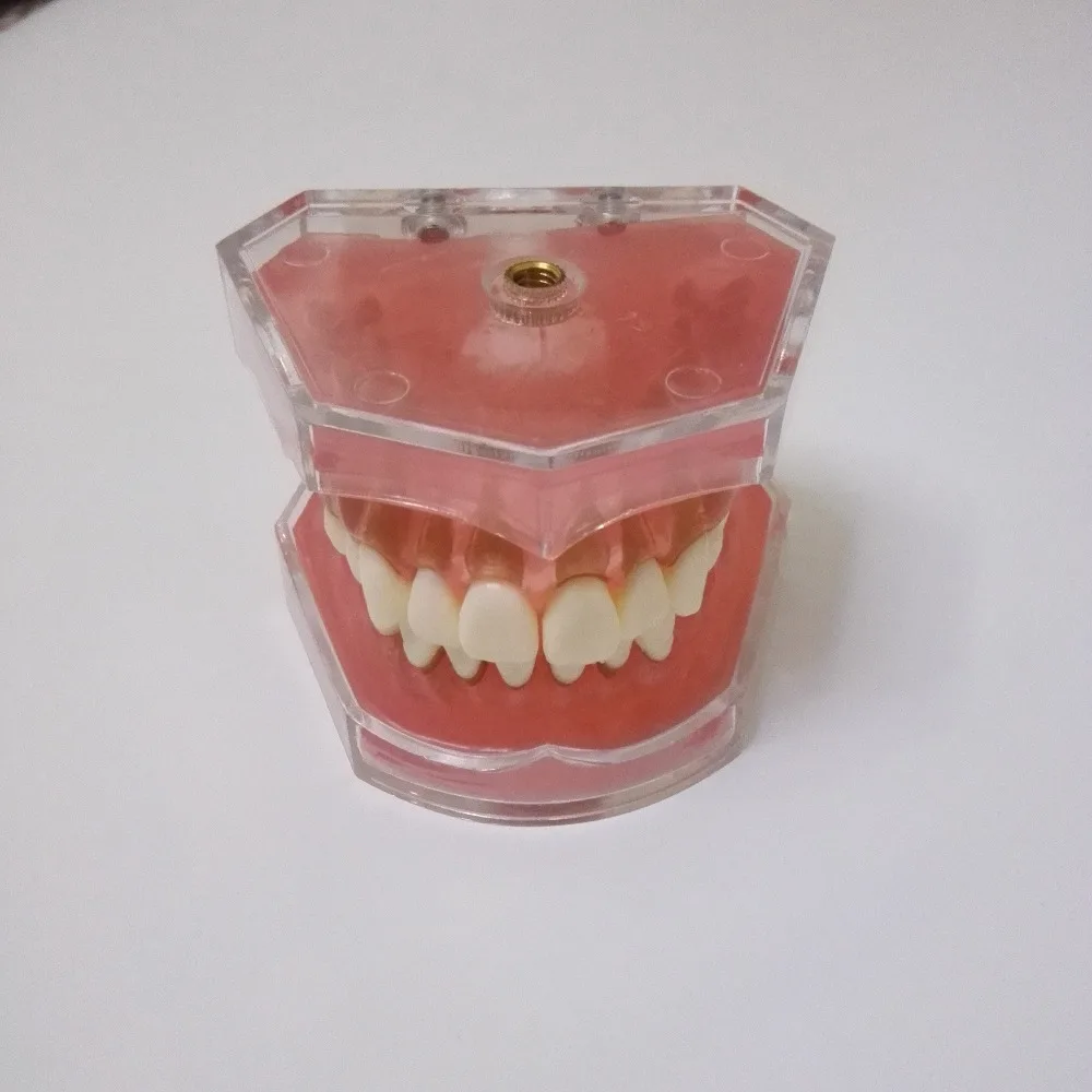 Отсоединяемая модель мягких зубов 1 шт. для обучения и