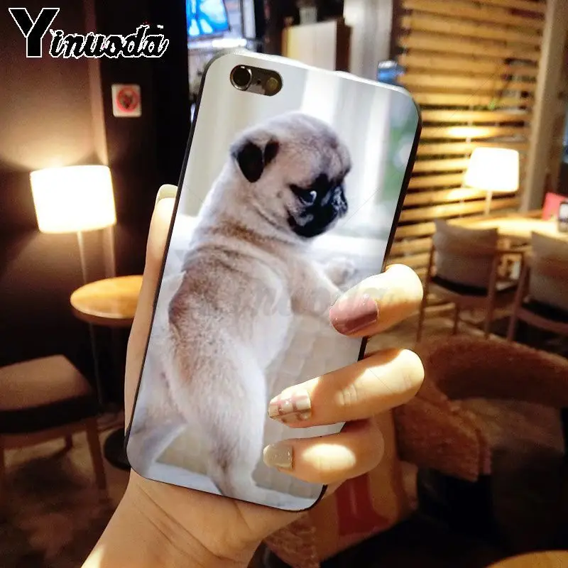 Yinuoda мопс собака животные новинка чехол для телефона Fundas iPhone 8 7 6 6S Plus X XS MAX 5 5S SE XR
