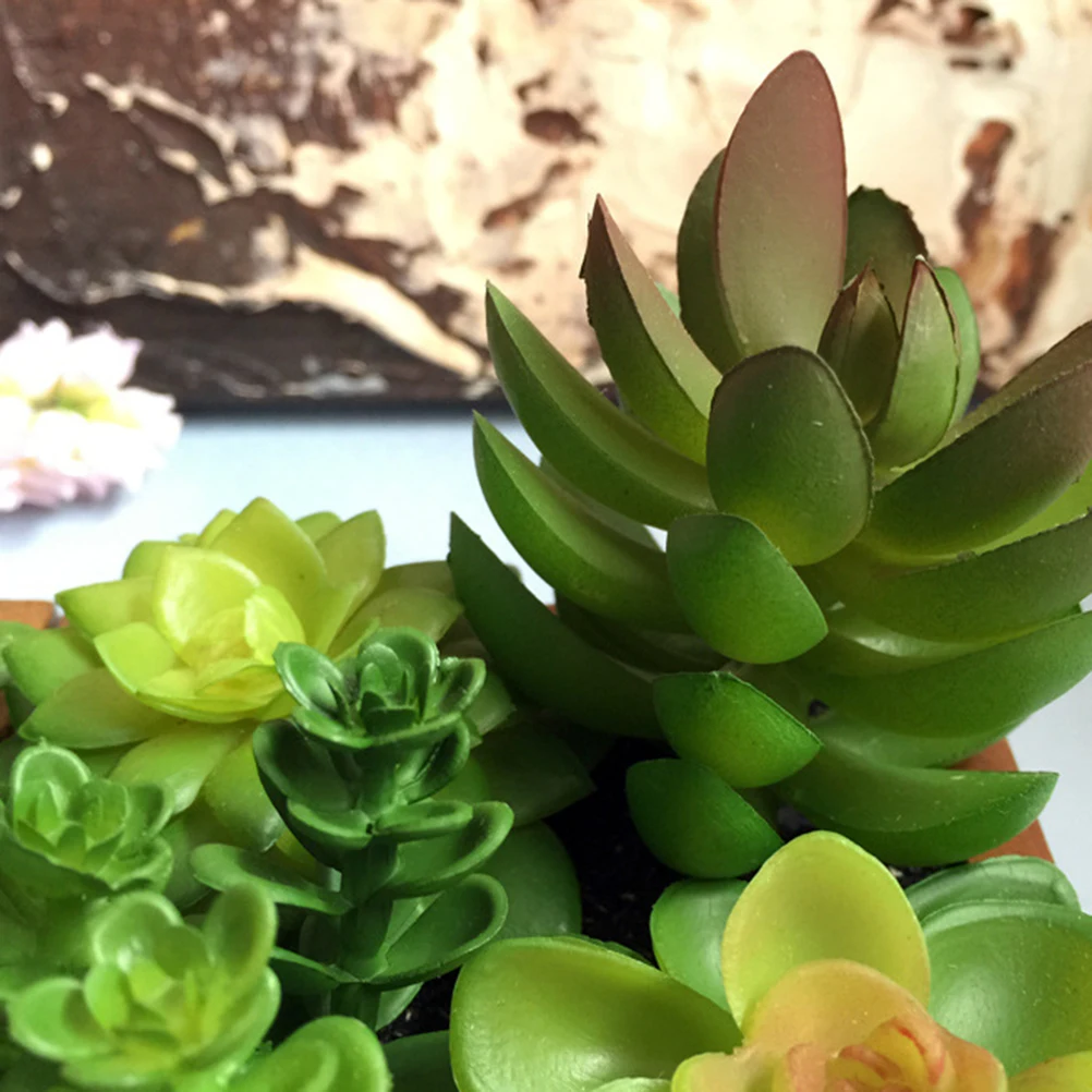 1 шт. Декор бонсай искусственные влагозапасающие растения мини креативная