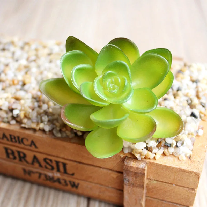 2 1 шт. разнообразный миниатюрный суккуленты Моделирование Мини DIY пластик офисный Декор сад дом нежный - Цвет: 2