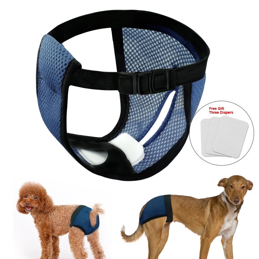 

Pet Diapers Girl Dog Puppy Pants Pet Underwe Dog Physiological Diaper Dogs Sanitary Panties Shorts Pet Accessories