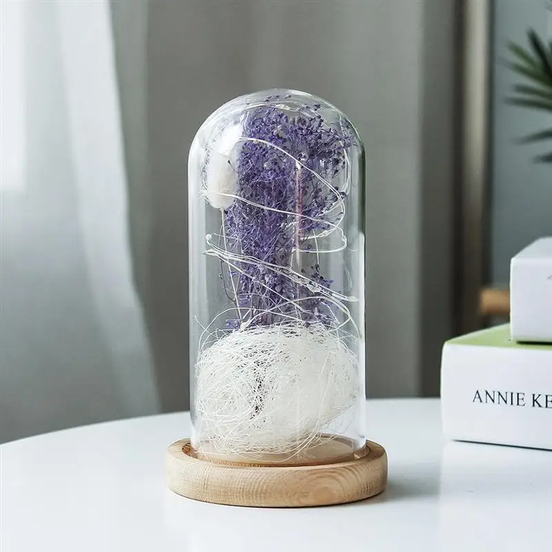 Стекло купола цветок света лампы с светодиодный строка сохранились в на