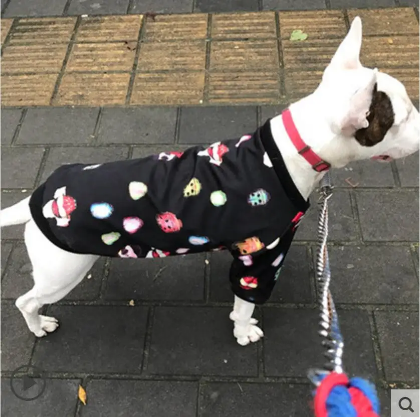 Большой товары для собак одежда пальто самоед Лабрадор демисезонный Pet жилет бейсбольная форма куртка 3XL~ 7XL