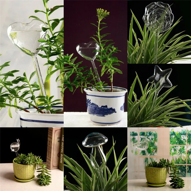 

6 Types Hot Glass Plant Flowers Water Feeder Self Watering Bird Design Plant Waterer Device