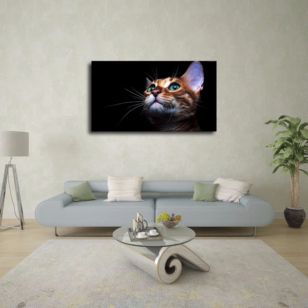 SR101087 Kitten Cute Natural Scenery Animal. HD Canvas Print Home decoration Living Room bedroom Wall pictures Art painting | Дом и сад