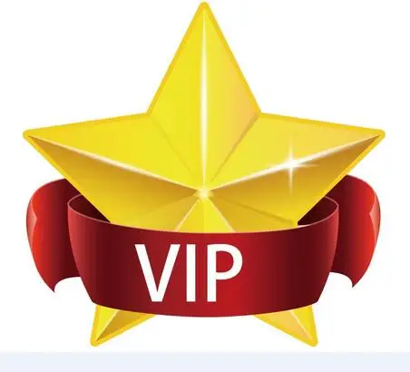 

vip DIY Diamond Embroidery Photo custom Diamond Painting Cross Stitch 3D Diamond Mosaic Decoration
