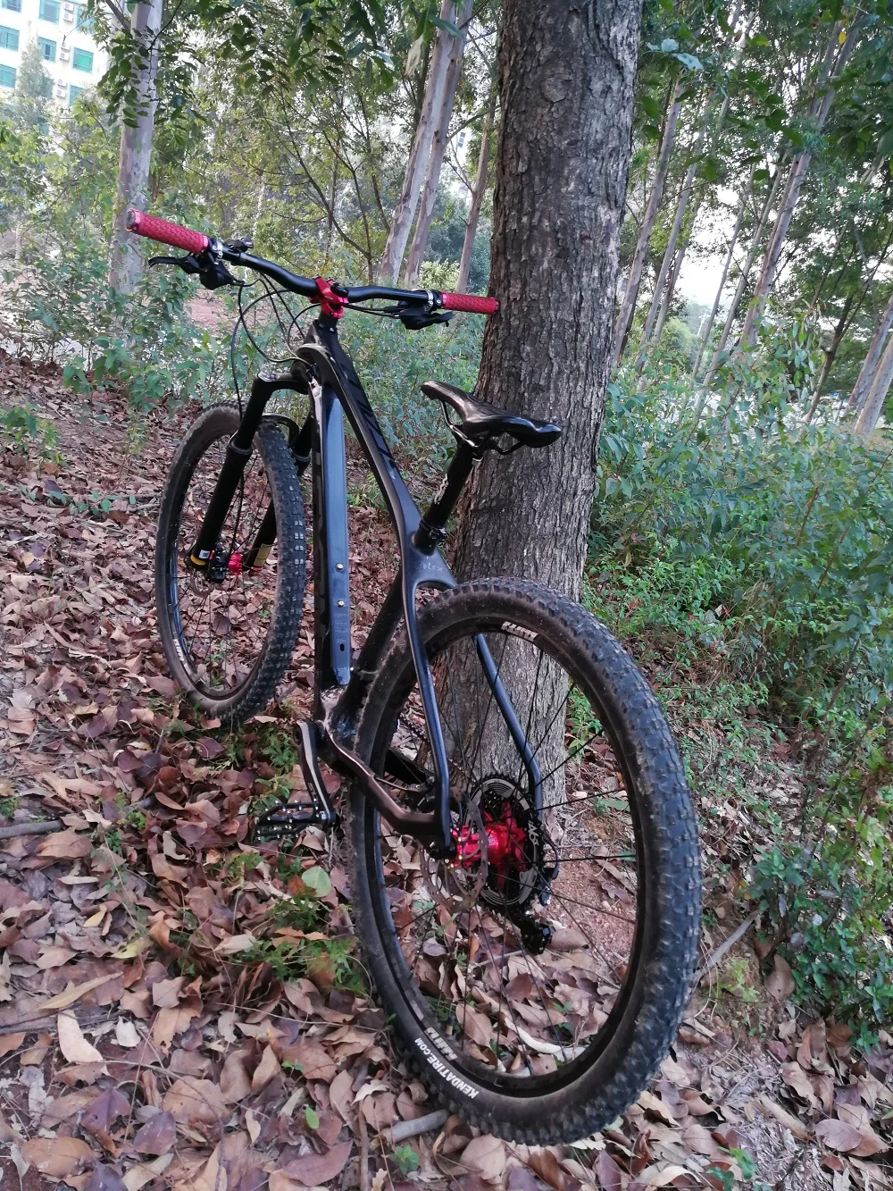 lexon 29ER рама для горного велосипеда/XC рама для велосипеда/жесткая рама для велосипеда/TORAY карбоновая рама для велосипеда