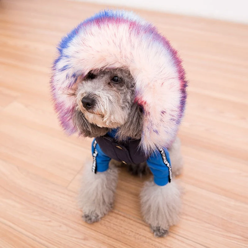 Одежда для собак чихуахуа меховой воротник 100% хлопок пальто куртки маленьких