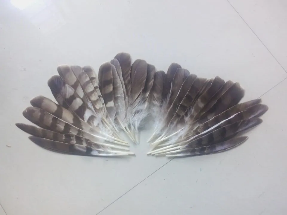 Новинка! Натуральные орлиные листья 6 8 дюймов длина 15 20 см шт.|natural eagle feathers|eagle