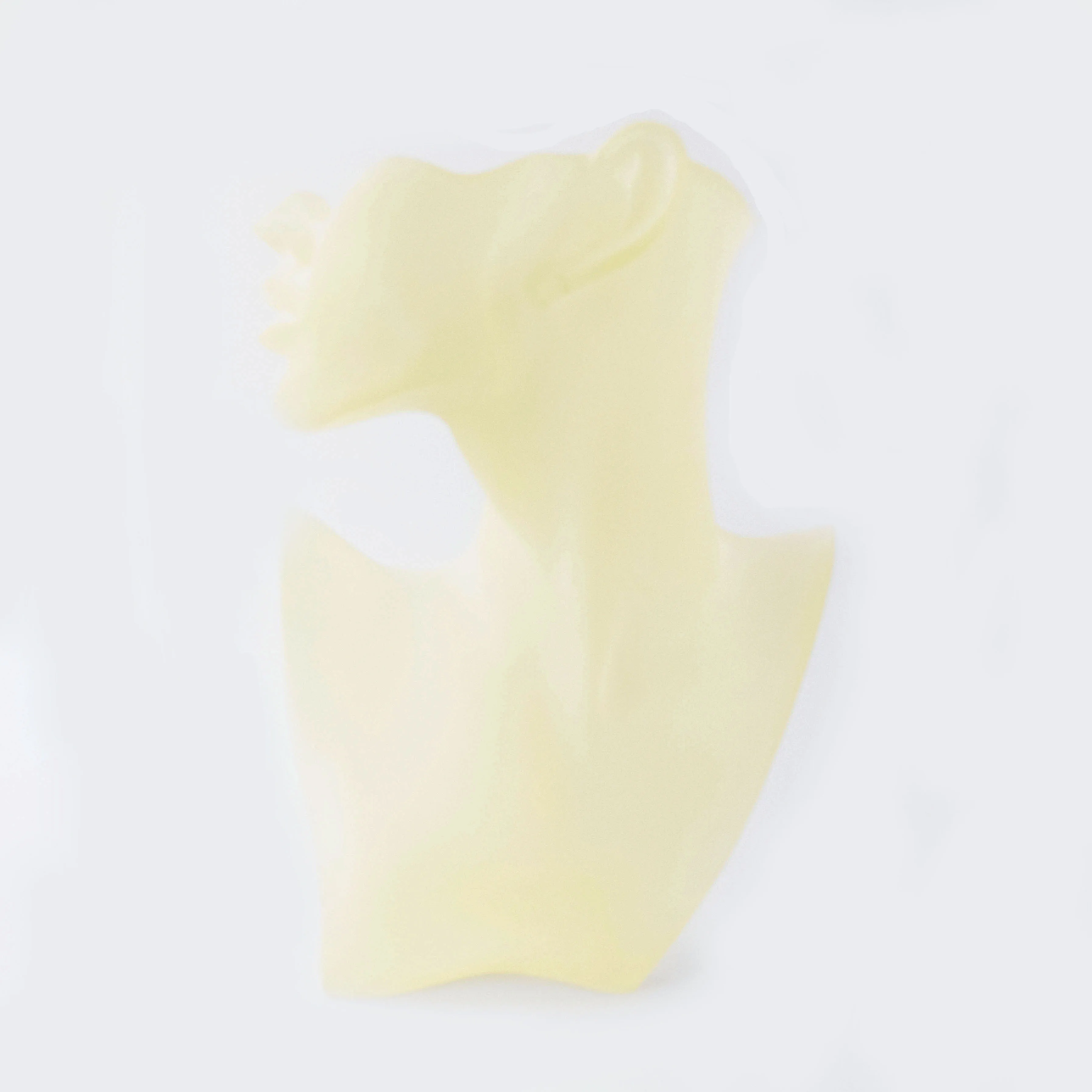 SZanbana Necklace Showcase Jewelry Display Bust Resin Material Head Model Pendant Earring Chain Mannequin Stand | Украшения и