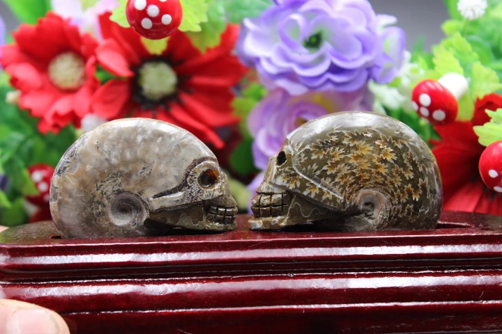 

2PCS natural quartz crystal snail fossil skull healing carving A18