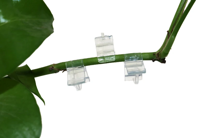 Пластиковые зажимы для прививки теплицы удерживающие сельскохозяйственный сад