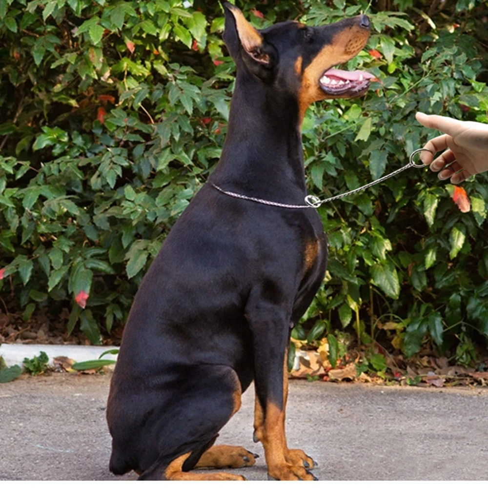 Дрессировочная цепь ошейники для собак змея P чокер ошейник животных 4 цвета 8