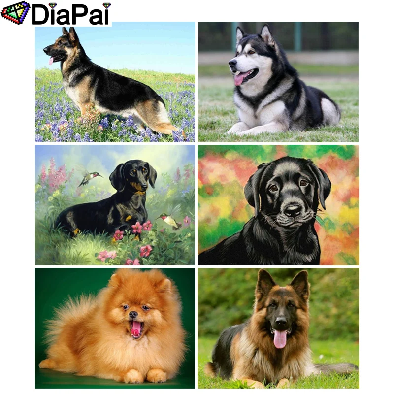 

DIAPAI 5D DIY Diamond Painting 100% Full Square/Round Drill "Animal dog flower" 3D Embroidery Cross Stitch Home Decor