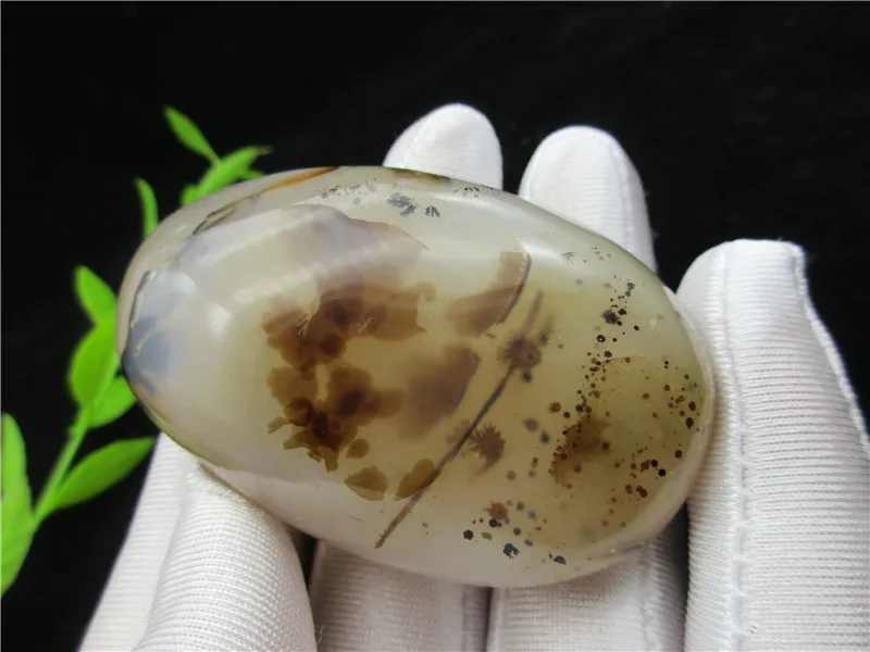 

Natural Polished Aquatic Plants Agate Crystal Specimen Madagascar Gift Energy Reiki Healing Collection