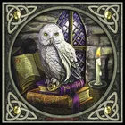 Набор для вышивки счетным крестом, рукоделия 14 ct DMC, DIY художественное украшение ручной работы-Снежная сова